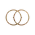 Vesica Piscis