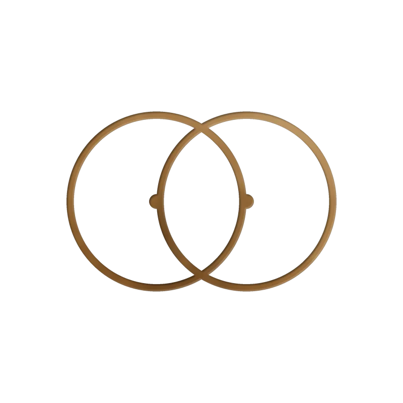 Vesica Piscis