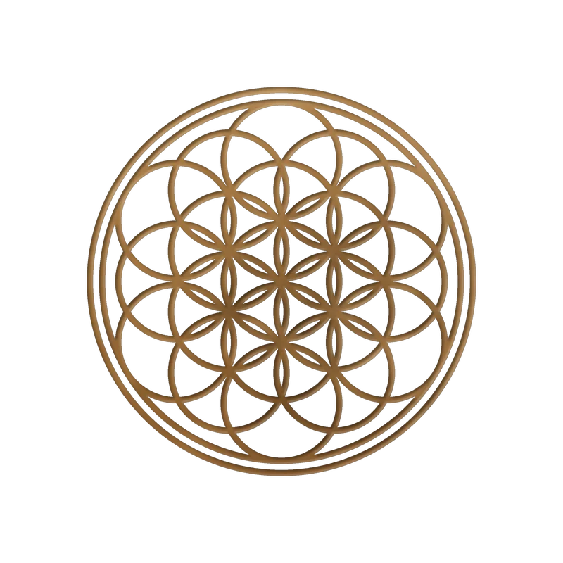 Flor da Vida