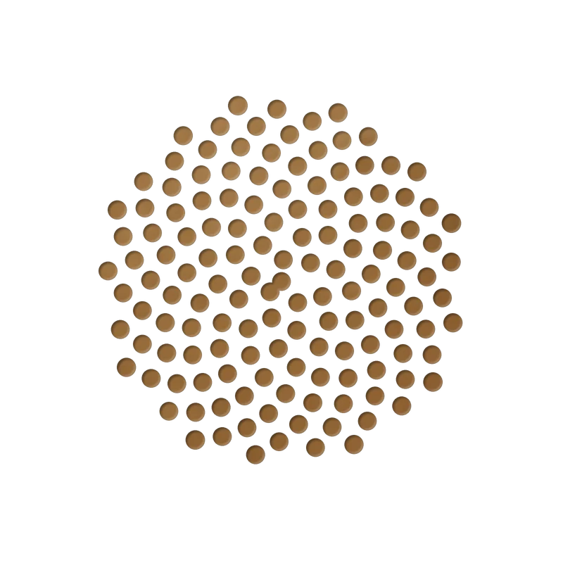 Filotaxia